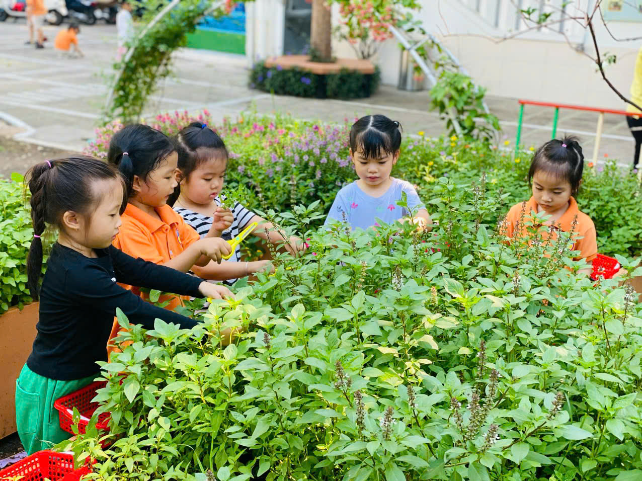 Trường mầm non hoa lư – không gian giáo dục xanh đầy sáng tạo, nơi trẻ em học hỏi và phát triển toàn diện trong môi trường gần gũi với thiên nhiên