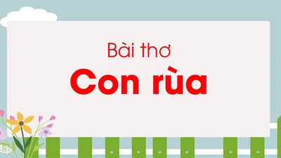 Bài thơ  con rùa 
