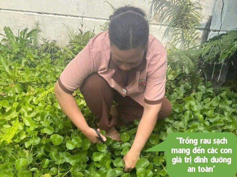 Tạo dựng môi trường học tập hạnh phúc đầy sự an toàn yêu thương dành cho trẻ, lan tỏa những giá trị tốt đẹp đến các con. Hãy trao đi yêu thương để đón nhận hạnh phúc. 🌺