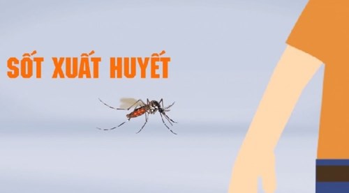 Chủ động phòng chống sốt xuất huyết