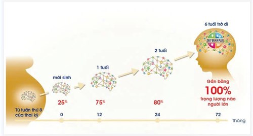 Nuôi dưỡng não bộ- Mở cửa tư duy cho trẻ mầm non