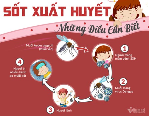 Sốt xuất huyết (hay sốt Dengue) là một trong những căn nguyên gây tử vong hàng đầu ở trẻ em. Vì vậy, các bậc cha mẹ cần biết một số biểu hiện sốt xuất huyết ở trẻ em để kịp thời phát hiện, đưa trẻ đi khám và điều trị kịp thời, tránh xảy ra biến chứng nghiêm trọng.