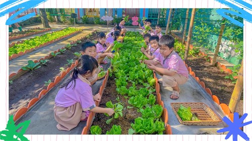 Các bé lớp Lá 2 của Trường Mầm Non Hoa Phượng Hồng đã có một buổi trải nghiệm “Thu hoạch rau” vô cùng thú vị và đầy ý nghĩa tại vườn rau của trường.