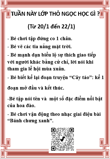 Kế hoạch chăm sóc giáo dục lớp Thỏ Ngọc từ 20/01/2025 đến 22/01/2025