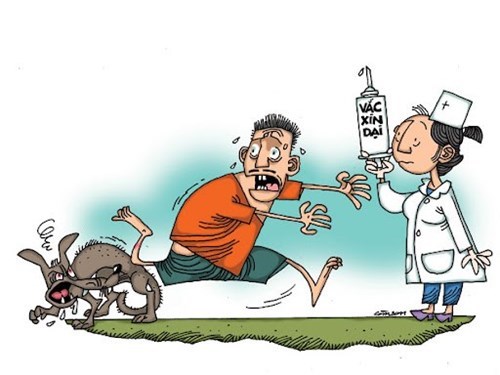 Cách phòng, chống bệnh dại