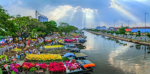 Chợ Hoa Tết Quận 8 và Chợ Hoa Xuân “Trên bến dưới thuyền” Tết Ất Tỵ - Năm 2025