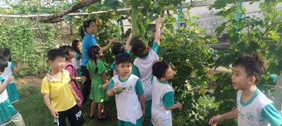 Các bé lớp lá khám phá vườn trường