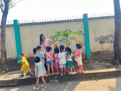 Hoạt động ngoài trời cùng các bé lớp mầm