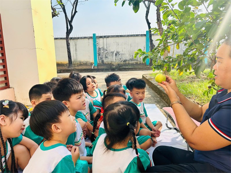 Cùng khám phá: quả ổi