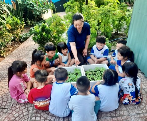 Vườn rau của bé !