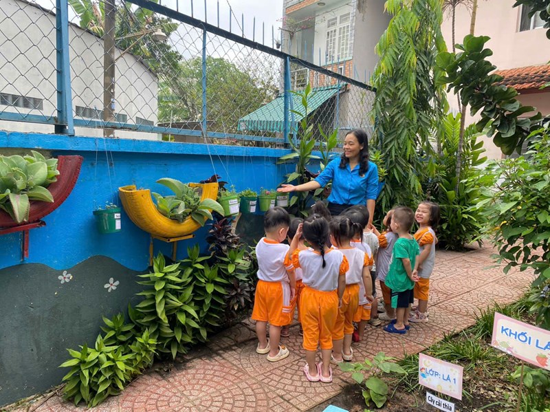 Vườn rau của bé !