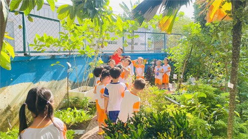 Vườn rau của bé !