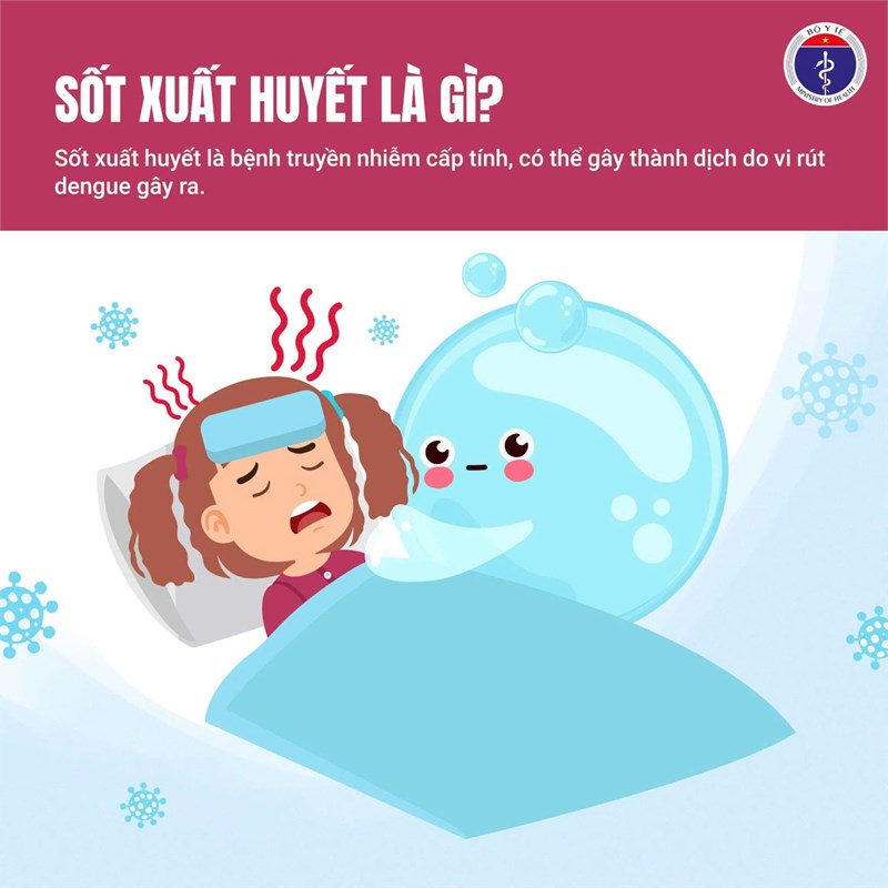 Chủ động phòng chống sốt xuất huyết – trách nhiệm của mỗi người, mỗi nhà