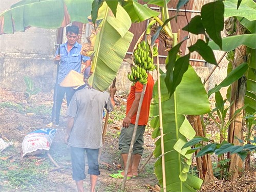 Các chú Bảo vệ và Cô nhân viên Trường Mầm non Mỹ Hoà tiếp tục cải tạo đất làm Vườn cây của Bé