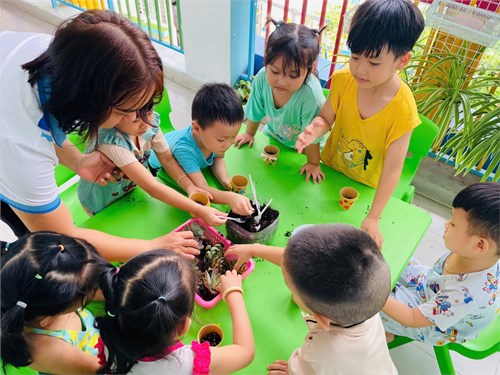 Hoạt động  Bé trồng sen đá tặng Mẹ ngày 8/3  của các bé 4-5 tuổi (Lớp Sơn Ca 1)