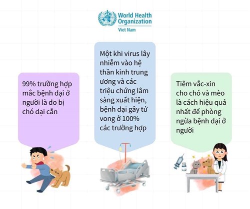 Trường MN Phú Hòa Đông - Phòng bệnh dại