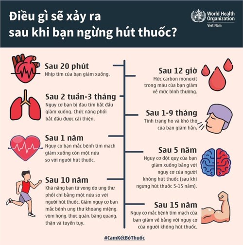 Trường MN Phú Hòa Đông - Điều gì sẽ xảy ra sau khi bạn ngừng hút thuốc?
