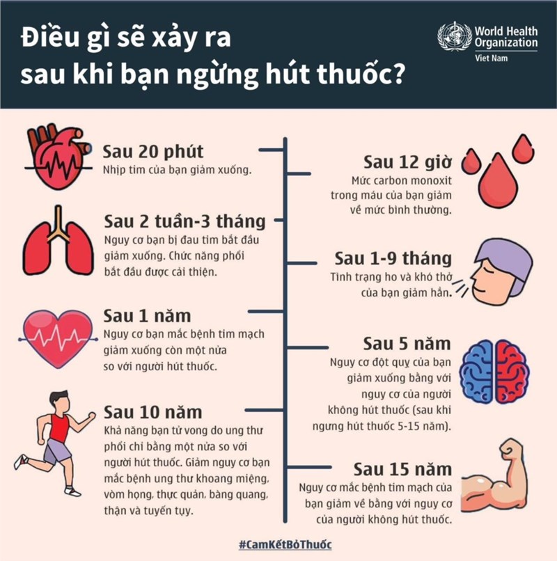 Trường MN Phú Hòa Đông - Điều gì sẽ xảy ra sau khi bạn ngừng hút thuốc?