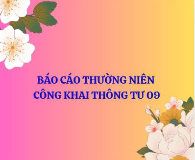 Báo cáo thường niên công khai thông tư 09