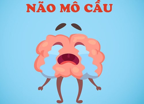 Những điều cần biết về bệnh do não mô cầu.