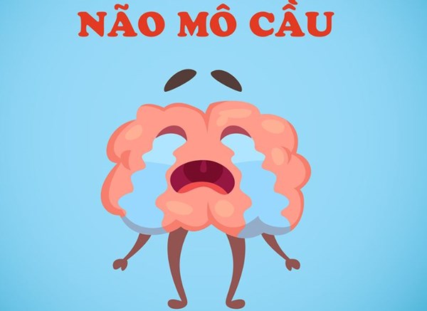 Những điều cần biết về bệnh do não mô cầu.
