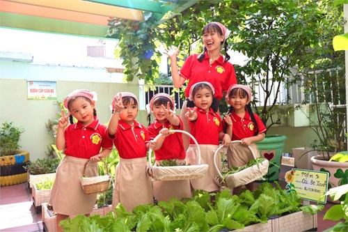 Mình cùng nhau ❤️ ❤️❤️
Thu hoạch rau  🥬🥬🥬