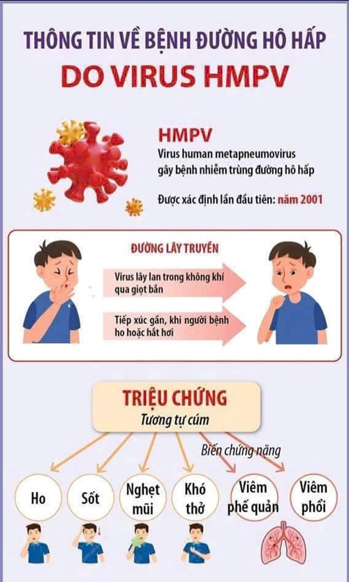 Thông tin về bệnh đường hô hấp do VIRUS HMPV