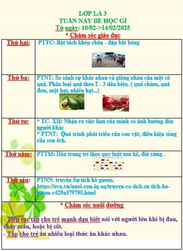 Kế hoạch chăm sóc giáo dục lớp Lá 3 từ ngày 10/2 đến ngày 14/2/2025.
