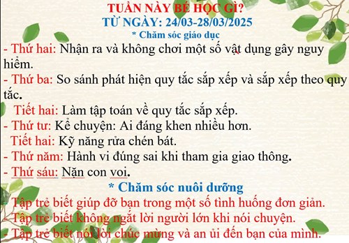 Kế hoạch chăm sóc nuôi dưỡng, giáo dục lớp Lá 2 từ ngày 24/3 đến ngày 28/3/2025