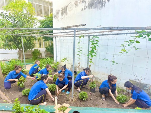 Nhằm hưởng ứng Ngày chủ nhật xanh toàn quốc lần thứ 153. Chi đoàn Mầm non Rạng Đông 11 đã ra quân thực hiện chăm sóc, trồng cây nhằm góp phần tái tạo mảng xanh trong trường học, bảo vệ môi trường xanh.