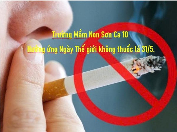 Hưởng ứng Ngày Thế giới không thuốc lá 31/5; Tuần lễ Quốc gia không thuốc lá 25-31/5/2025 và tăng cường thực thi Luật Phòng, chống tác hại của thuốc lá