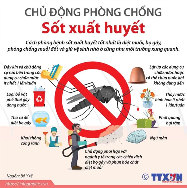 Phòng chống Sốt xuất huyết