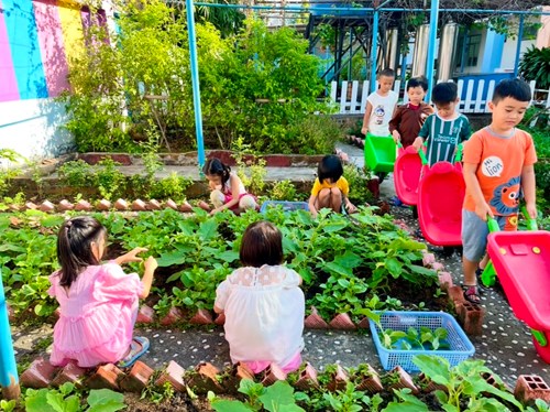 Trẻ chăm sóc và thu hoạch rau