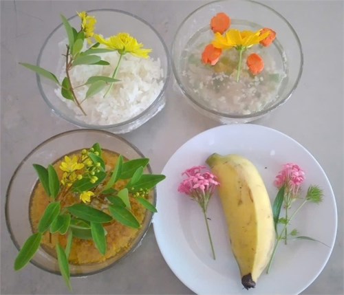THỰC ĐƠN ĂN TRONG TUẦN (Tuần lễ từ ngày 05- 5 - 2025 đến ngày 09- 5 - 2025)
