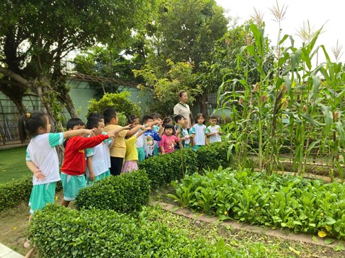 Hoạt động của các bé khối Chồi (4-5 tuổi).