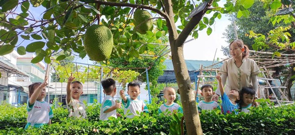 Hoạt động của các bé khối Nhà trẻ.