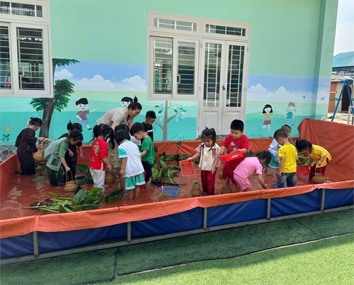 Hoạt động của các bé khối Mầm.