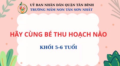 Các bé khối Lá cùng chăm sóc và thu hoạch rau.