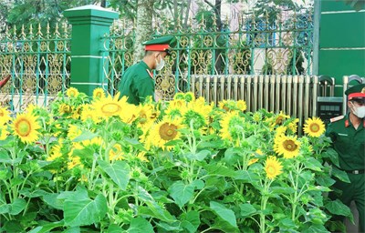  Các anh về, mái ấm nhà vui, 