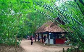 Địa đạo Củ Chi có thể trở thành di sản thế giới