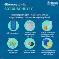 Giảm nguy cơ mắc sốt xuất huyết