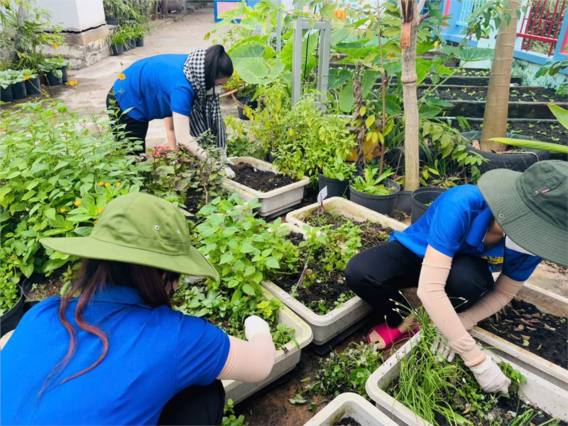 THỰC HIỆN LỜI DẠY CỦA BÁC
 “Vì lợi ích mười năm trồng cây 
  Vì lợi ích trăm năm trồng người 