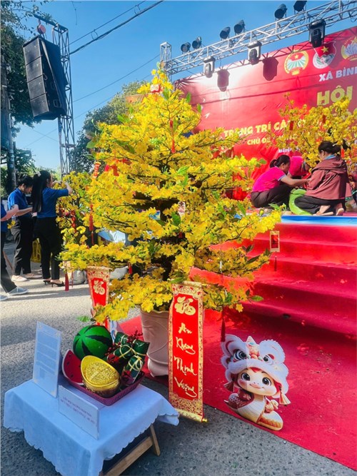 Các cô giáo tham gia hội thi trang trí hoa mai nhân dịp Xuân Ất Tỵ