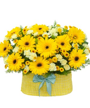 Chi bộ Trường Mầm non Việt Nhi tổ chức Lễ kết nạp đảng cho đồng chí Trần Thị Thuý Ngân và trao Quyết định công nhận Đảng Viên chính thức cho đồng chí Trần Thị Tuyết Hoa