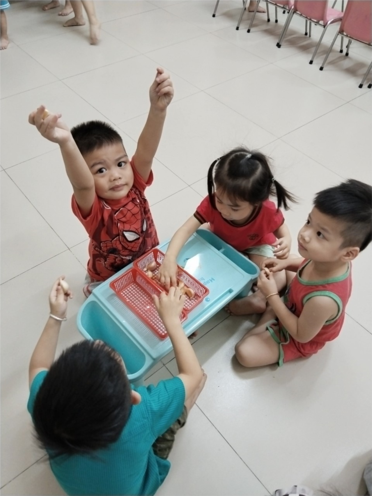 m2_151202410.jpg