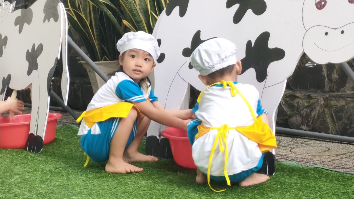 c33_101202410.jpg