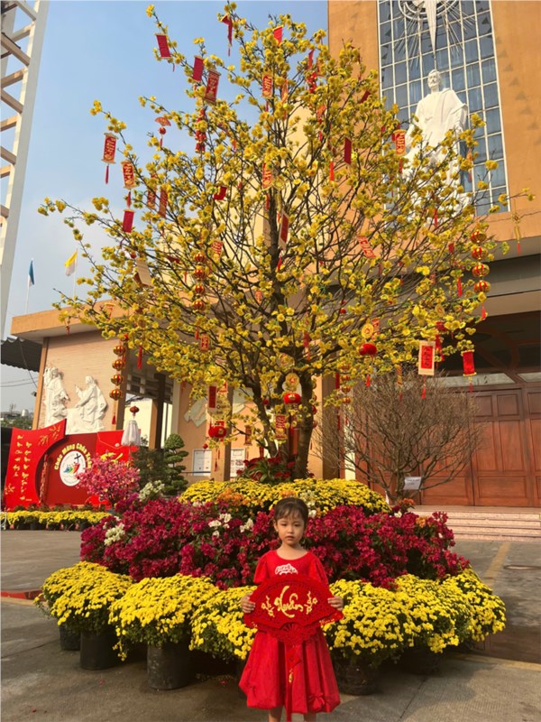 c37_211202520.jpg
