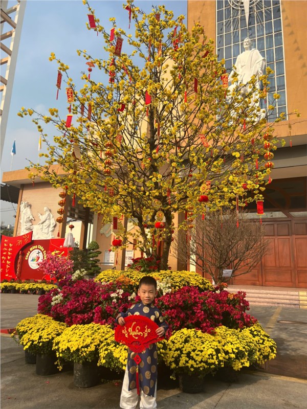 c6_211202520.jpg