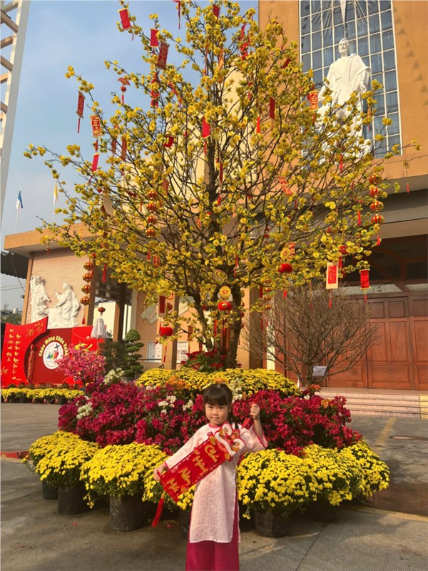 c92_211202520.jpg